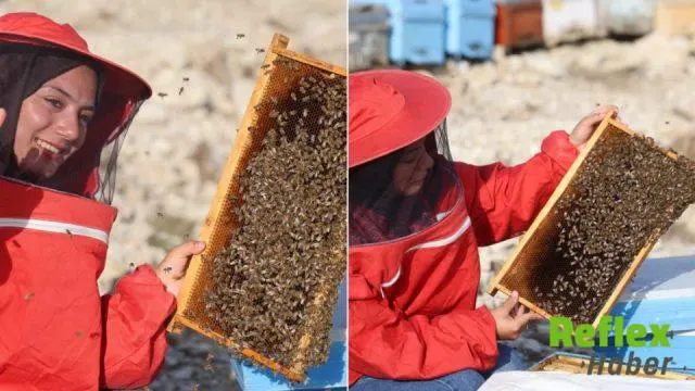 Adana’da Genç Arıcı Kovan Sayısını Bine Çıkardı