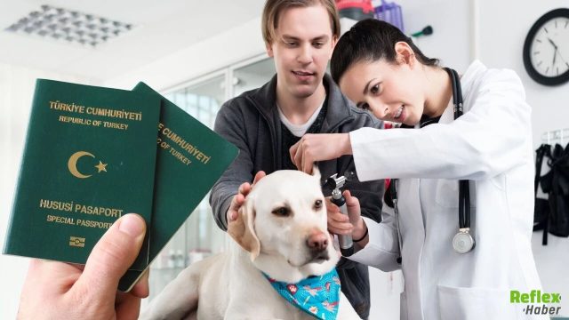 Veteriner Odası Ne Açıklama Yaptı? Hangi Mesleklere Yeşil Pasaport Verilecek?