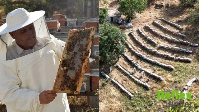 Van'da 10 Kovandan 650 Kovena Ulaşan Arıcı, Balını Almanya'ya Gönderiyor