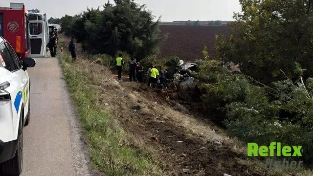 Karacabey'de Tir Tarlaya Uçtu: Sürücü Yaralandı