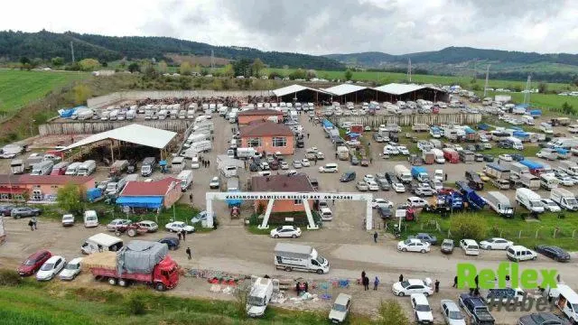 Kastamonu'da Şap Riski Nedeniyle Canlı Hayvan Pazarları Kapatıldı
