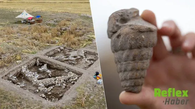 Külhöyük’te Hitit Döneminden En Eski Sevgi Çiçeği Tohumu