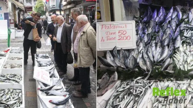 Ordu’da Palamut Bolluğu Fiyatları 50 Liraya Çekti