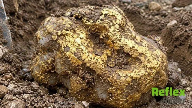 Alaska’da Bulunan Dev Altın Külçesi 750 Bin Dolara Satıldı