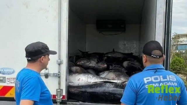 İzmir Güzelbahçe'de kaçak av operasyonu: 3 ton orkinos ele geçirildi