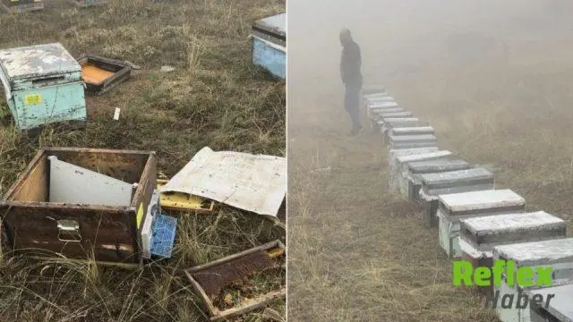Konya'da Ayı Kovanlara Zarar Verdi, Arıcının Tepkisi Tebessüm Ettirdi