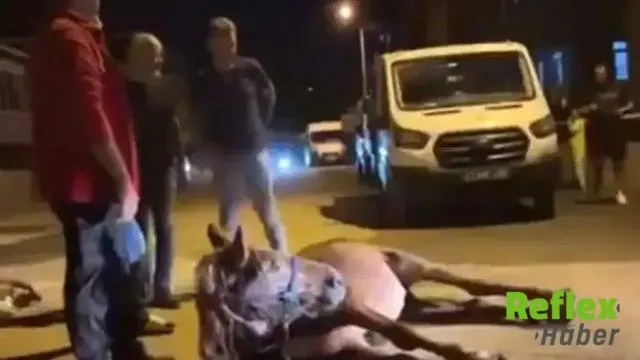 Keşan’da ata şiddet iddiası: 2 kişi gözaltına alındı
