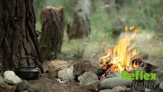 Mangal Yasak Mı? Bugün Nereler De Mangal Yasak? 14 Ağustos