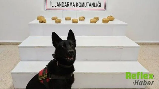 Başkale'de Gizlenen Çuvaldan 11 Kilo 958 Gram Esrar Çıktı