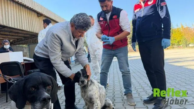 Afşin’de 230 Hayvan Kuduz Aşısıyla Koruma Altına Alındı