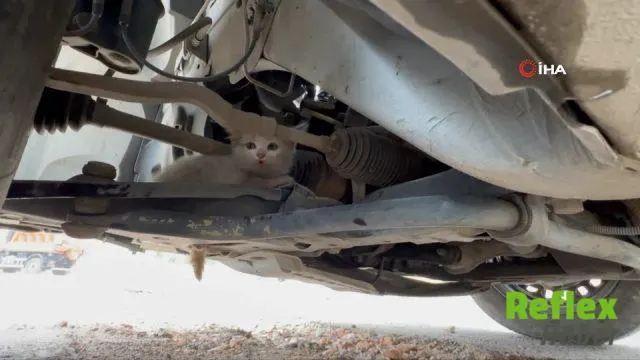 Elazığ'da Motor Kısmına Sıkışan Yavru Kedi Kurtarıldı