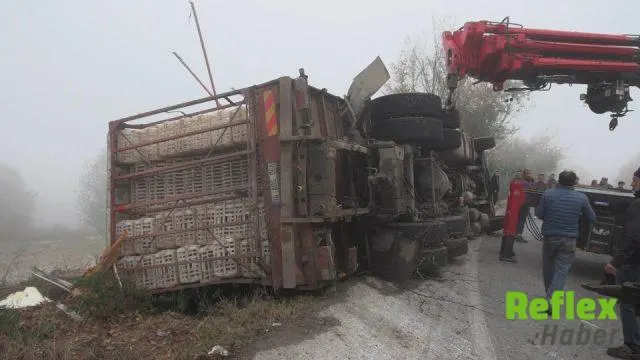Bolu’da Canlı Tavuk Yüklü Kamyon Virajda Devrildi: 4 Yaralı