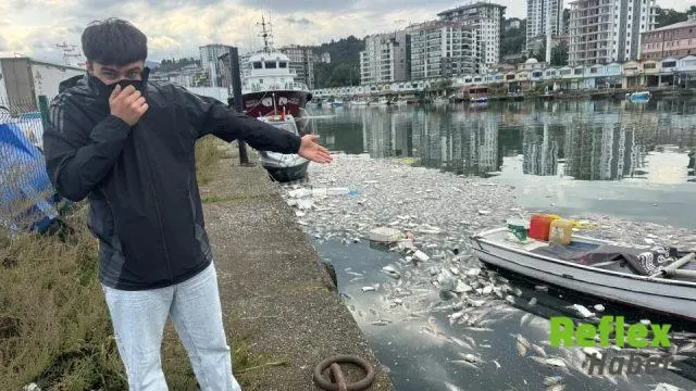 Rize Kirazlık Limanı’nda Palamut Tepkisi
