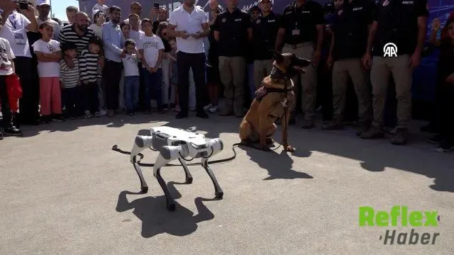 Şanlıurfa’da Robot Köpek Ve Bomba Arama Köpeğinden Uyumlu Gösteri