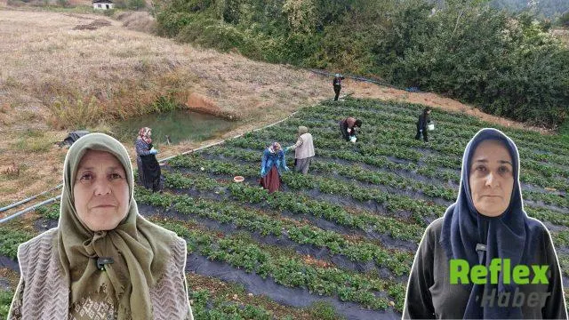 Kahramanmaraşlı Kadınların Yöresel Ürünleri Dijital Pazarda Buluşuyor