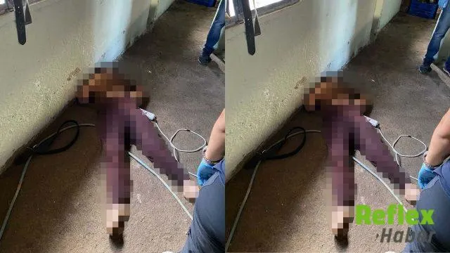 Aydın’da Temizlik Yaparken Elektrik Akımına Kapılan Genç Kadın Hayatını Kaybetti