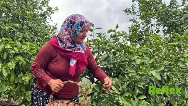 Mersinli Çiftçi Naciye Şahin Yarışmadan 1 Milyon 400 Bin Lirayla Döndü
