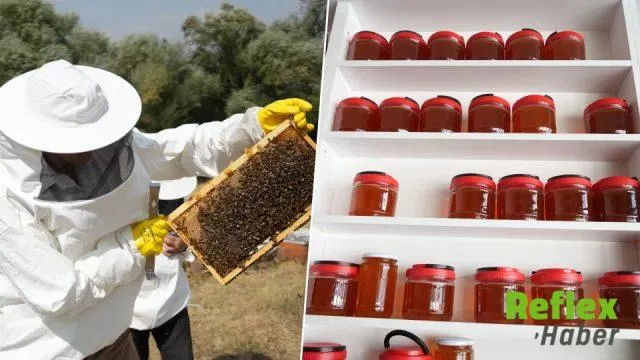 Muş’ta bal hasadı sona erdi: 290 bin kovandan yaklaşık 700 ton üretim