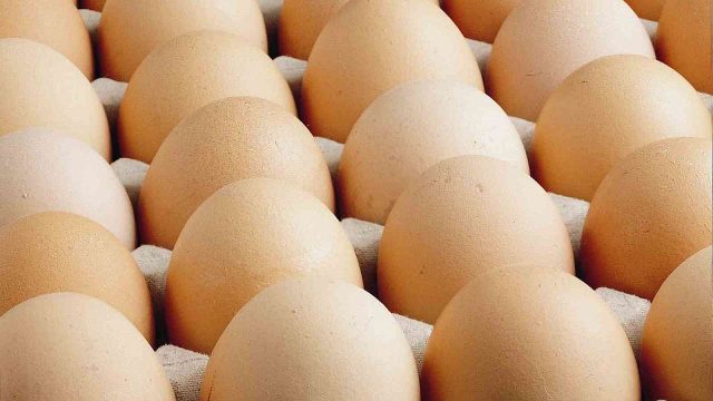 Yumurta üretiminde yıllık gerileme dikkat çekti