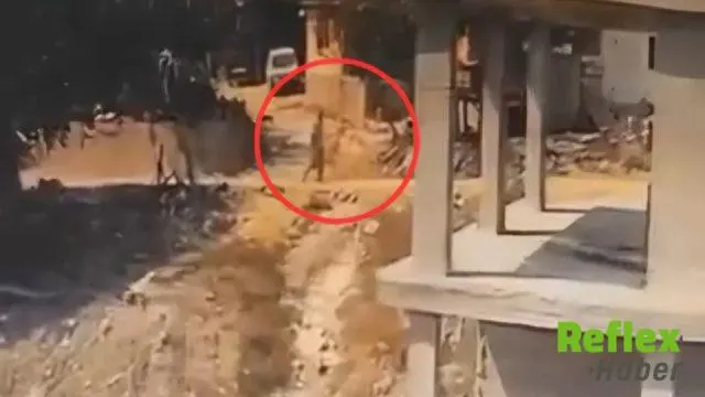 İnşaatta yatan köpeğe sopayla şiddet uyguladı: O anlar kamerada