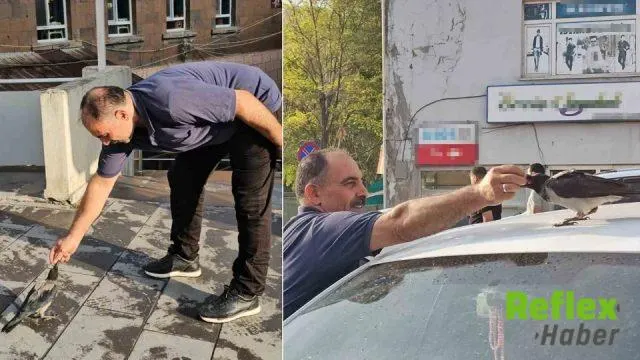Adilcevaz'da Kasap Turan Zeybek İ̇le Karganın Sıra Dışı Dostluğu