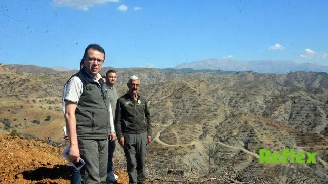 Kahramanmaraş Çamlıbel Yangınında Zarar 600 Milyon Lirayı Aştı