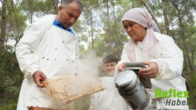 Muğla’da Çam Balı Hasadı Bereketli Başladı