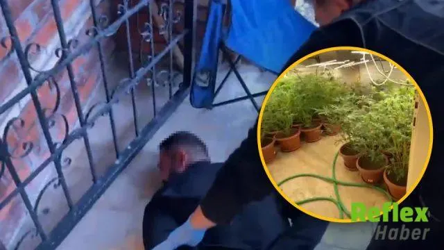 Kemalpaşa'da Villa Operasyonunda 300 Kök Kenevir Ele Geçirildi